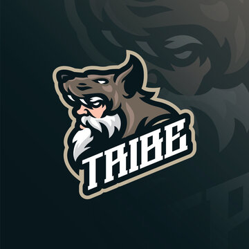 Tribe mascot logo design vector. Tribe head illustration.