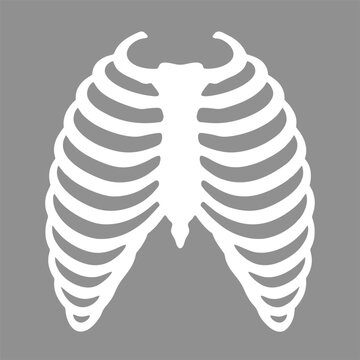 Rib cage silhouette icon showing human thoracic anatomy with white lines isolated on a solid gray background professional vector