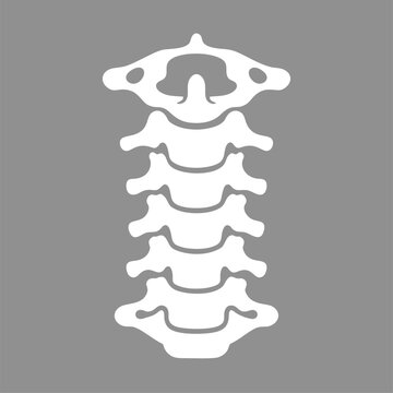 Cervical spine anatomy illustration showing white vertebrae bones on a plain grey background for medical health science educational projects