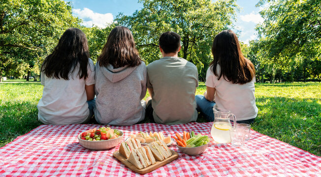 Group of friends enjoying a picnic in a lush green park.