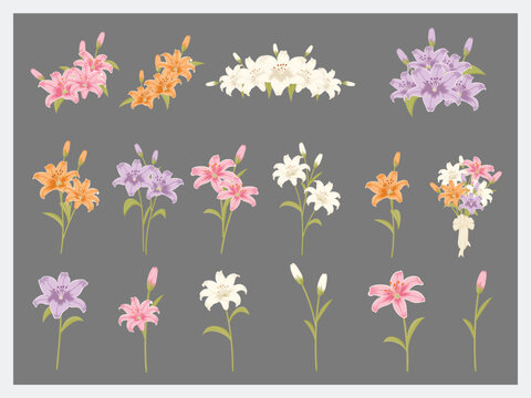 Lily Flower and Floral Bouquet Set