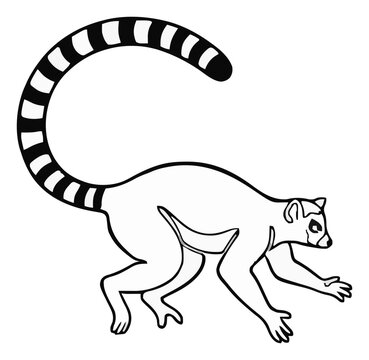 Jumping ring-tailed lemur 3/4 perspective view line .... Generative AI