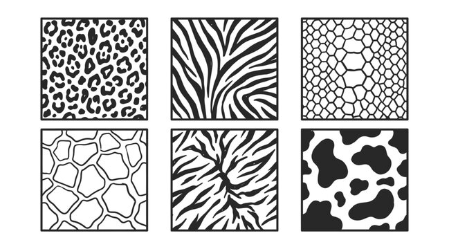 Set of animal skin patterns including leopard zebra snake giraffe and cow print