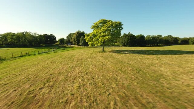 FPV skims across a mown pasture, whipping past a lone field tree before banking hard toward Knappogue Castle on a clear day.