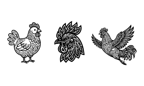 hen and rooster