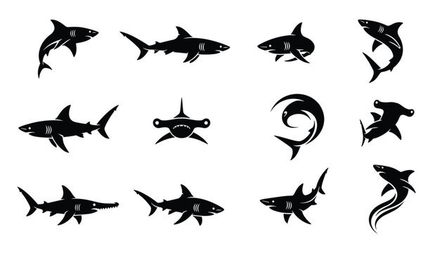 Collection of diverse shark silhouettes displaying different species of sharks swimming in various dynamic poses.