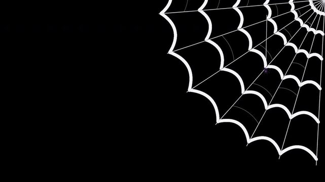 Spooky 2D spider web corner overlay with a small animated spider hanging from a silk thread and gently moving up and down while the web slowly sways in the wind. Clean vector Halloween motion graphic