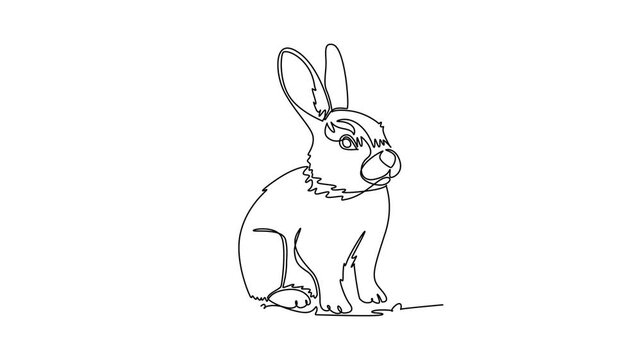 Self drawing animation of single line draw adorable pet rabbit sitting alert with upright ears, showcasing it fluffy coat, domestic animal charm, wildlife nature. Continuous line. Full length animated
