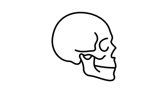 Minimalist human skull vector side profile line art