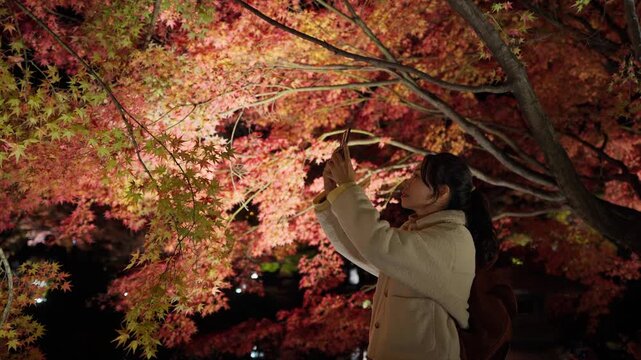 Young female tourist using her smartphone to capture the magical autumn night illumination in a Japanese garden
