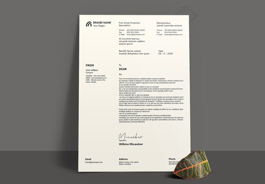 Modern Creative Letterhead Newsletter Template Layout