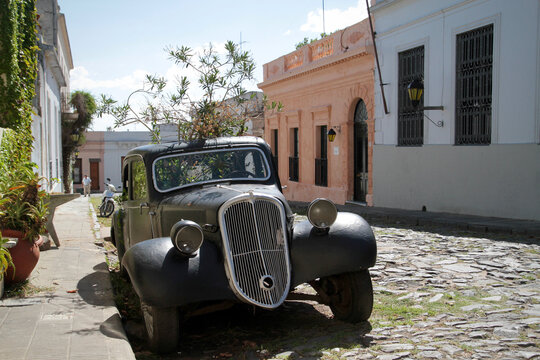 Abandoned vintage car overtaken by tree, Colonia del Sacramento, Uruguay