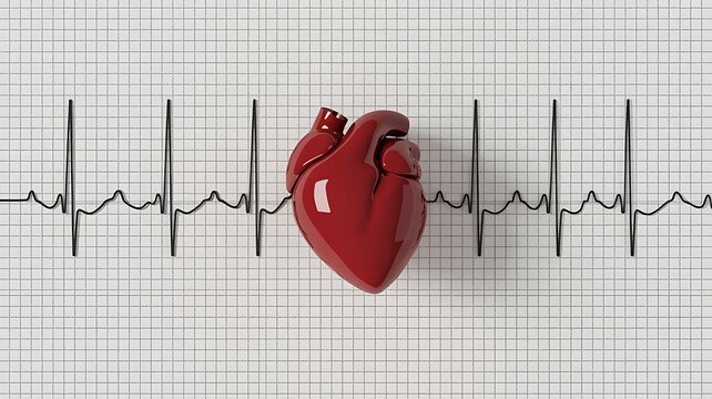 Anatomical red heart model with an electrocardiogram ECG heartbeat line graph background