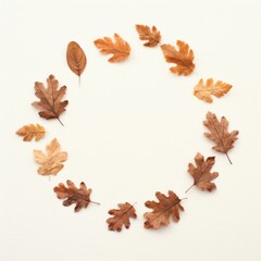 Obraz premium Real pressed oak leaves plant leaf tree.