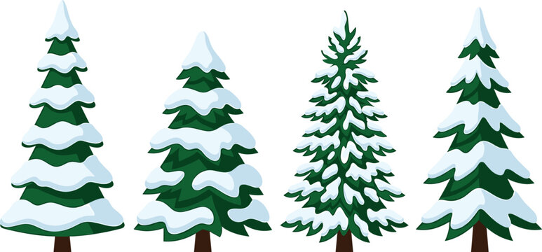 Snowy Christmas pine trees illustration collection featuring green evergreen firs covered in winter snow isolated on white background vector