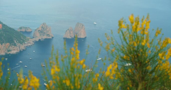 Yellow flowers in the foreground framing the distant Faraglioni sea stacks above the Capri Italy sea