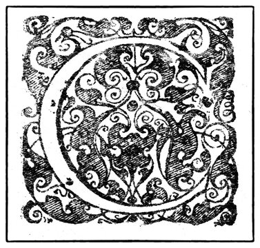 Initial or an initial C, ornamental initial letter, copper engraving by Basilius Besler, from Hortus Eystettensis, 1613