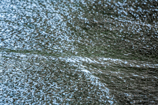 rainwater flowing on a city street. bad weather in the city.