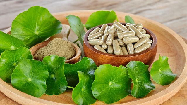Centella asiatica (Gotu Kola), Gotu Kola powder, and Gotu Kola capsules herbs.