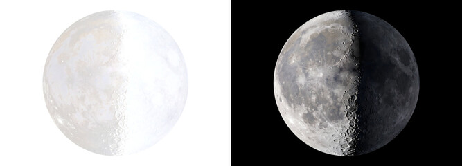 Half moon reveals a sharp lunar terminator with cratered surface detail perfect for astronomy designs in PNG, Transparent and Black Background Versions © Crafter