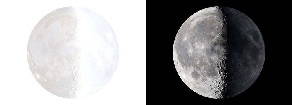 Half moon reveals a sharp lunar terminator with cratered surface detail perfect for astronomy designs in PNG, Transparent and Black Background Versions
