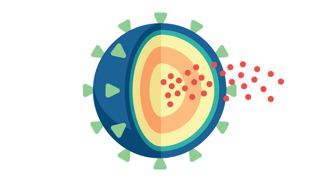 Vibrant coronavirus vector illustration showing internal structure with red particles and blue circular spherical casing design