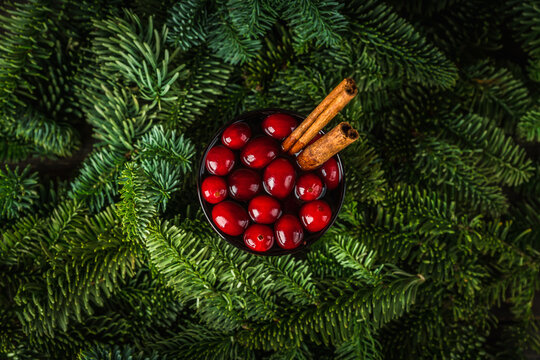 Mulled wine with orange, cranberry and cinnamon in fir forest setting. Selective focus.