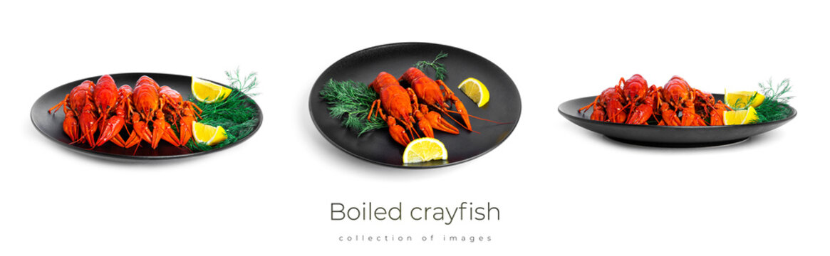 Boiled crayfish with dill and lemon on black plate isolated on a white background. High quality photo