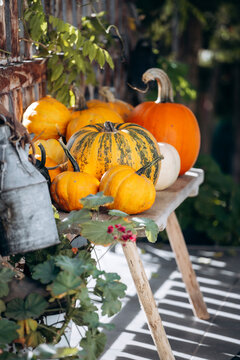 A bench with assorted pumpkins