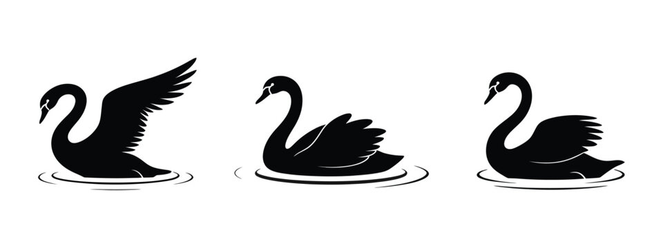 Swan Icon Set, graceful swan bird symbols in silhouette and outline styles for wildlife nature water lake and branding vector