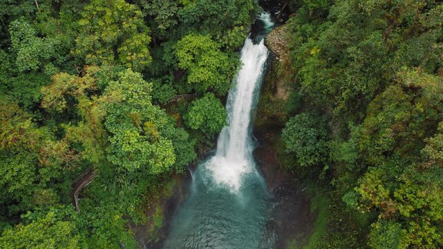 La Paz Waterfall flows through thick forest vegetation with walkway viewpoint