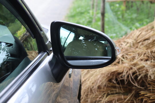 Car's side mirror shows an interior seat and natural surroundings clearly