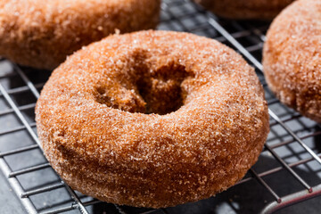 Homemade Sweet Cinnamon Apple Cider Donuts