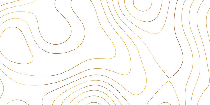 Abstract white golden gradient Topographic line map pattern background. Contour elevation topographic and textured Background Modern design with White background with topographic wavy patte