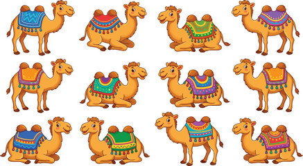Obraz premium cute cartoon two humped camels with colorful saddles vector illustration design elements
