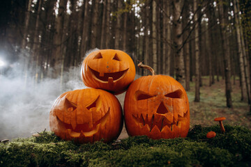 Fototapeta na wymiar Atmospheric photo of halloween pumpkins in autumn forest