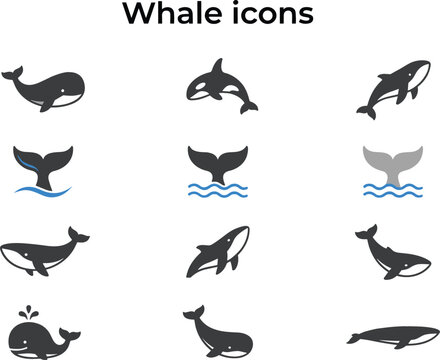 Vector whale icon set featuring flat silhouettes of humpback orcas blue whales and diving tail flukes