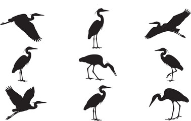 Fototapeta premium Heron Bird Silhouette Collection Black Heron And Wading Bird Poses Flying Standing And Feeding Wildlife Illustrations Isolated On White Background Nature Vector Design Set