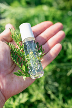 Herbal extract in transparent bottle with herbs in palm of your hand, natural herbal essence, or oil. Concept is based on naturopathy, medicinal herbalism, traditional medicine