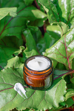 Organic cosmetic cream in a jar with a swatch on fresh green leaves, symbolizing natural plant-based skincare and beauty. Natural and organic approach to skincare