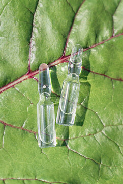 Glass ampoules with transparent cosmetic serum or meso cocktail on juicy green beet leaf. Organic cosmetics concept, anti-aging care, plant extracts, eco-beauty industry