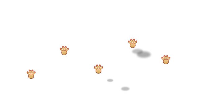 Animal paw prints falling on white background