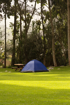 Blue Camping Tent Pitched on a Lush Green Lawn in a Peaceful Forest Campground