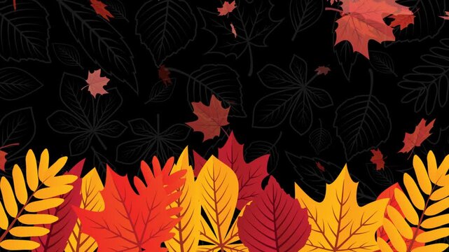 Autumn falling leaves on transparent background. Wave of falling leaves in the wind, leaf fall.