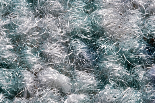 Macro texture of tangled synthetic fibers in blue white. Abstract background pattern of woven plastic filaments.