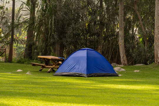 Blue Camping Tent Pitched on a Lush Green Lawn in a Peaceful Forest Campground