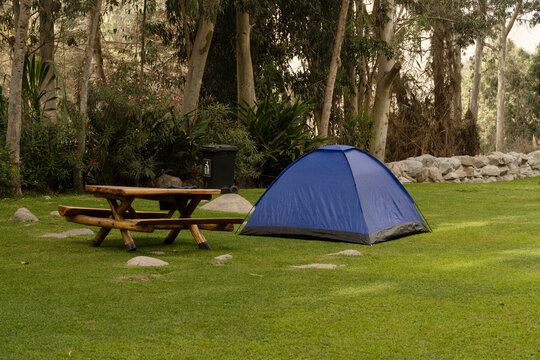 Blue Camping Tent Pitched on a Lush Green Lawn in a Peaceful Forest Campground