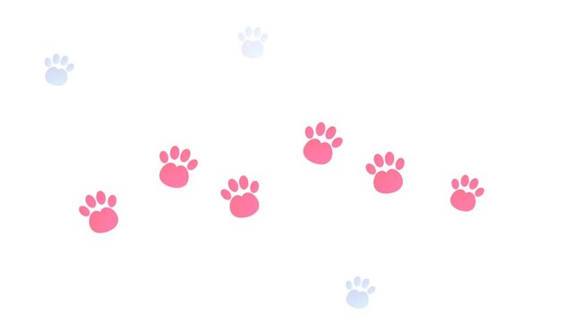 Colorful animal paw prints seamless pattern on white background