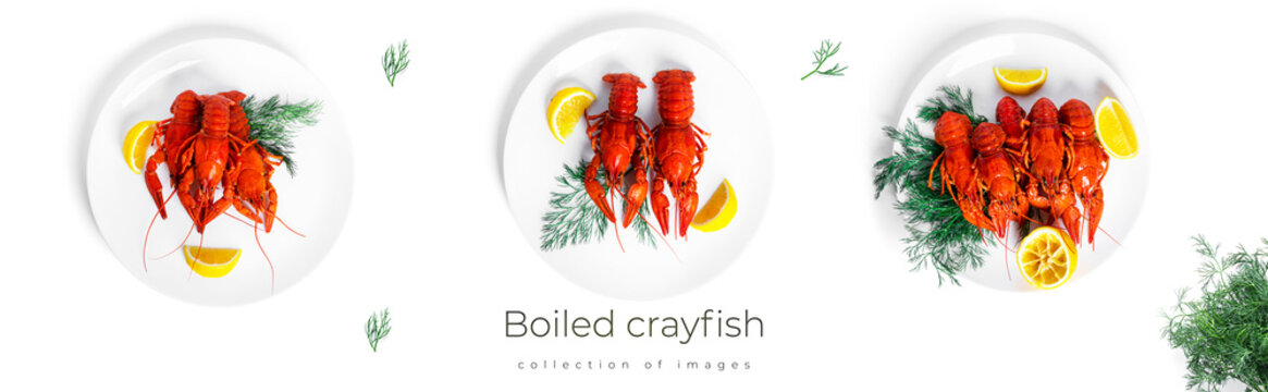 Boiled crayfish with dill and lemon on black plate isolated on a white background. High quality photo