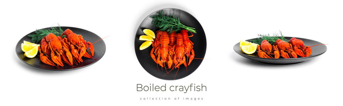 Boiled crayfish with dill and lemon on black plate isolated on a white background. High quality photo